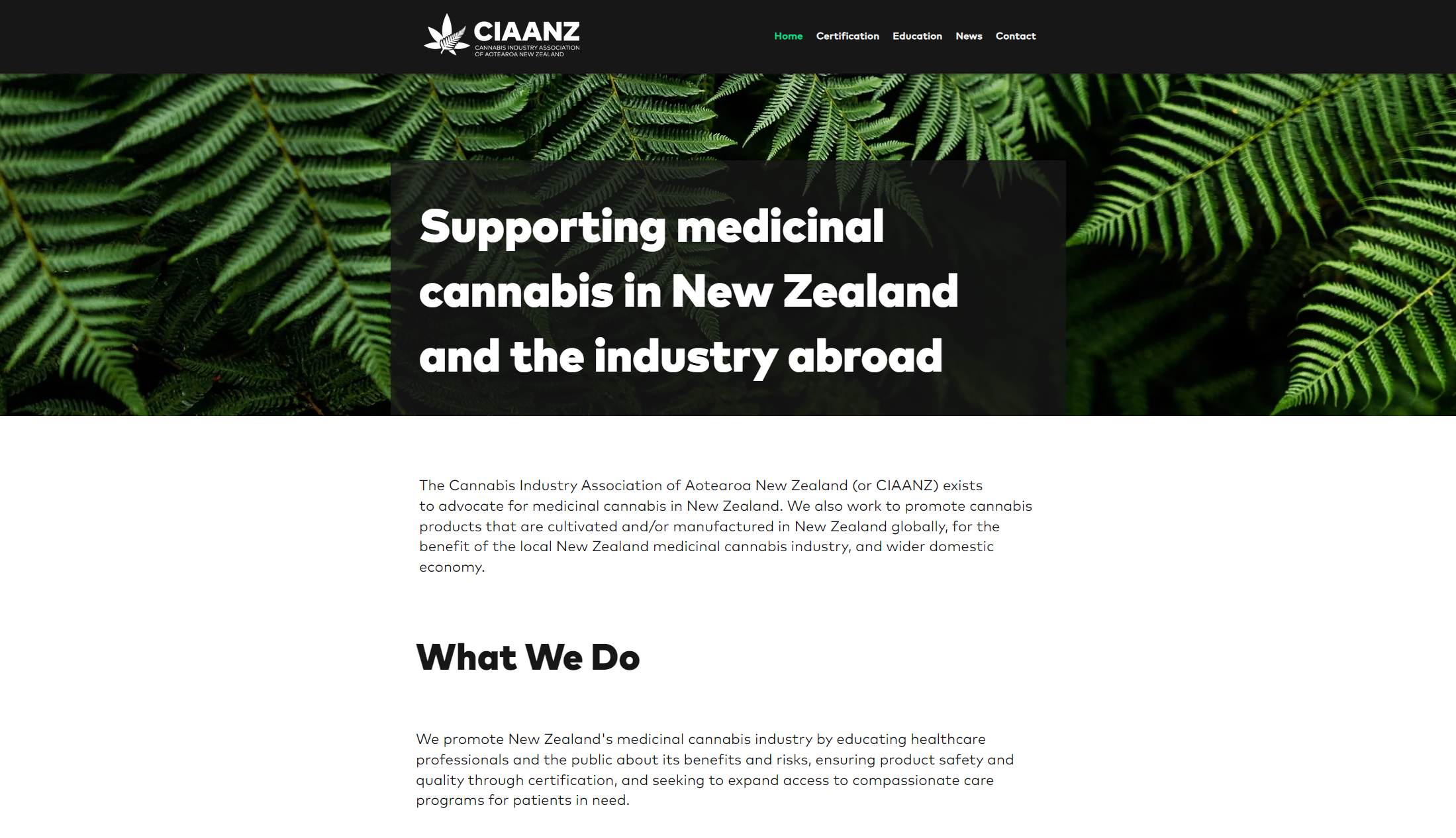 ciaanz website screenshot